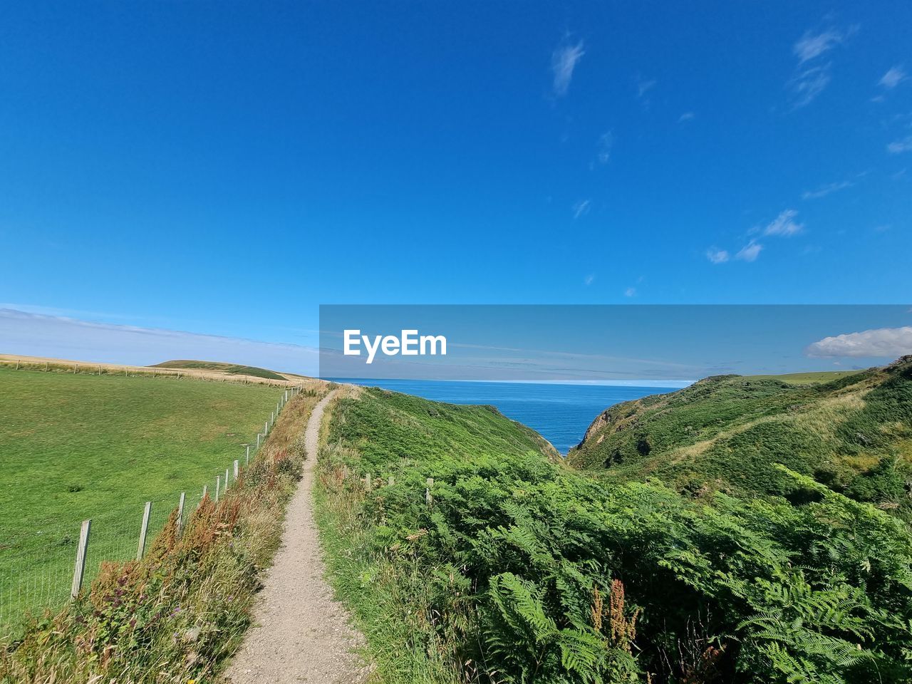 A stunning summer walk along the banffshire coast at rspb troup head scotland 