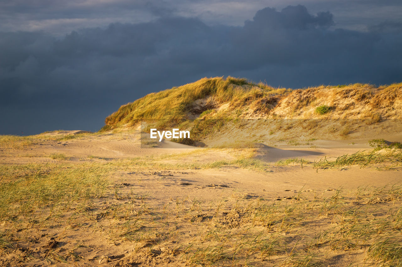 Scenic view of north sea dunes against sky