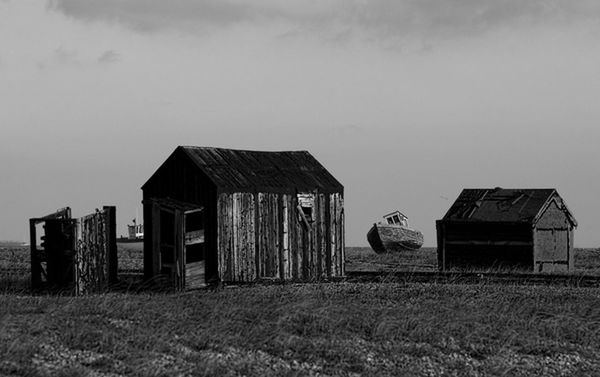 HOUSES ON GRASSY FIELD