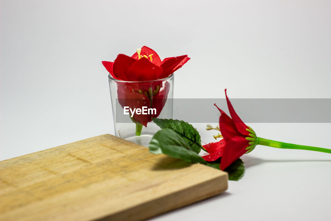 CLOSE-UP OF RED ROSE ON WHITE TABLE