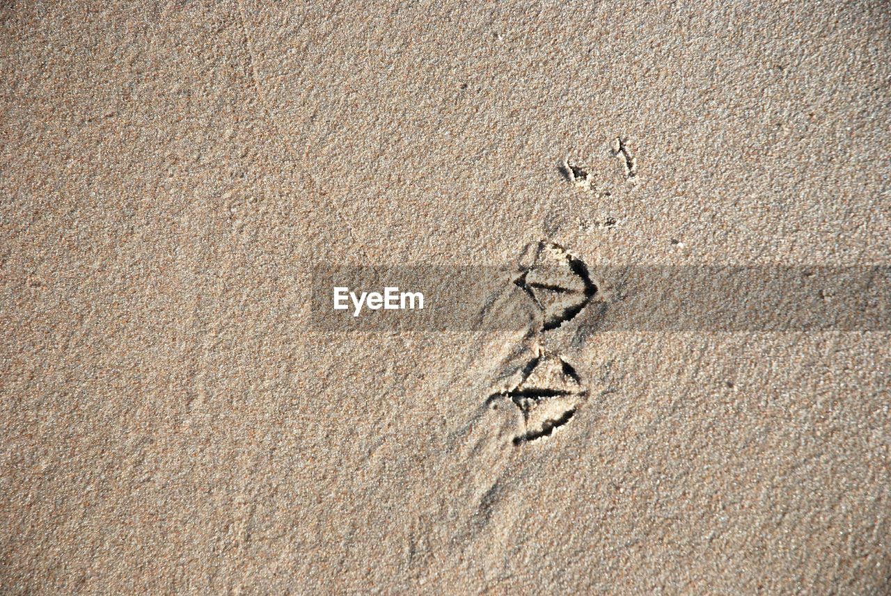 Full frame shot of sand with bird footprint at beach