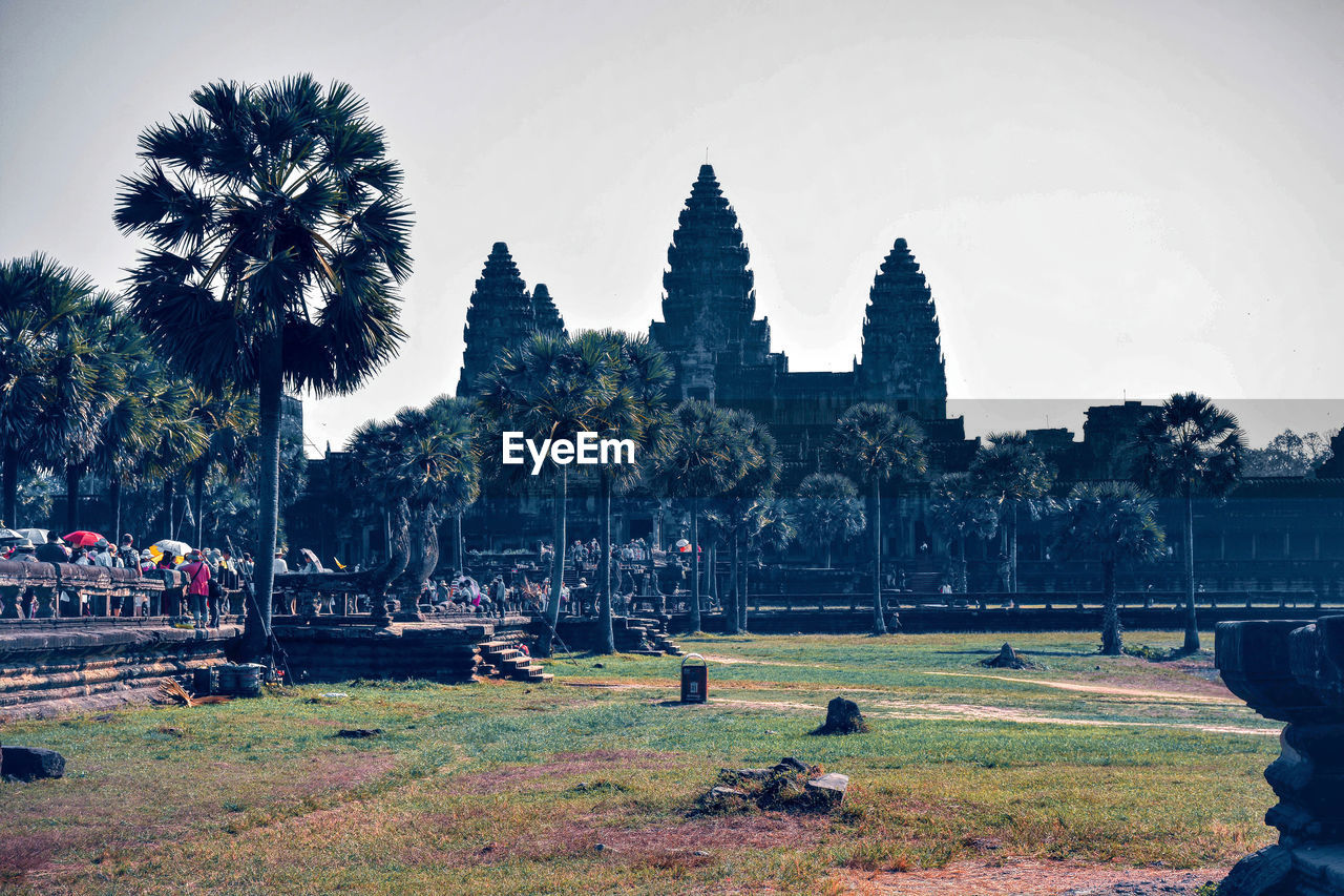 Palm trees in angkor wat, world heritage sites of cambodia