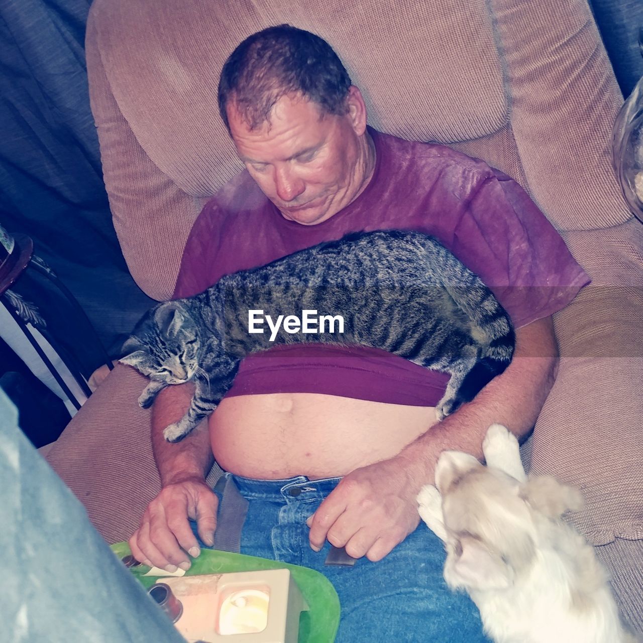 High angle view of cat resting on man abdomen at home