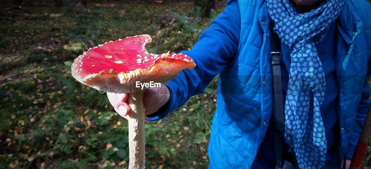 Close-up of person holding mushroom growing on field