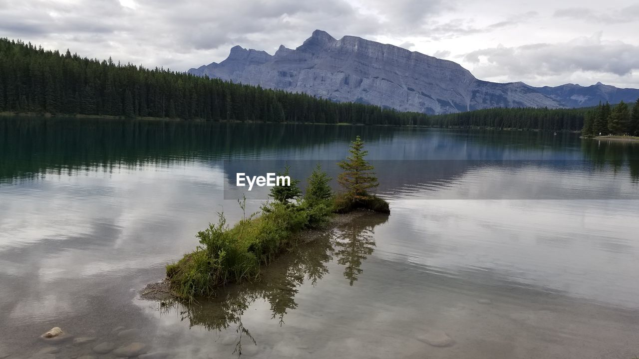 SCENIC VIEW OF LAKE BY TREE AGAINST SKY