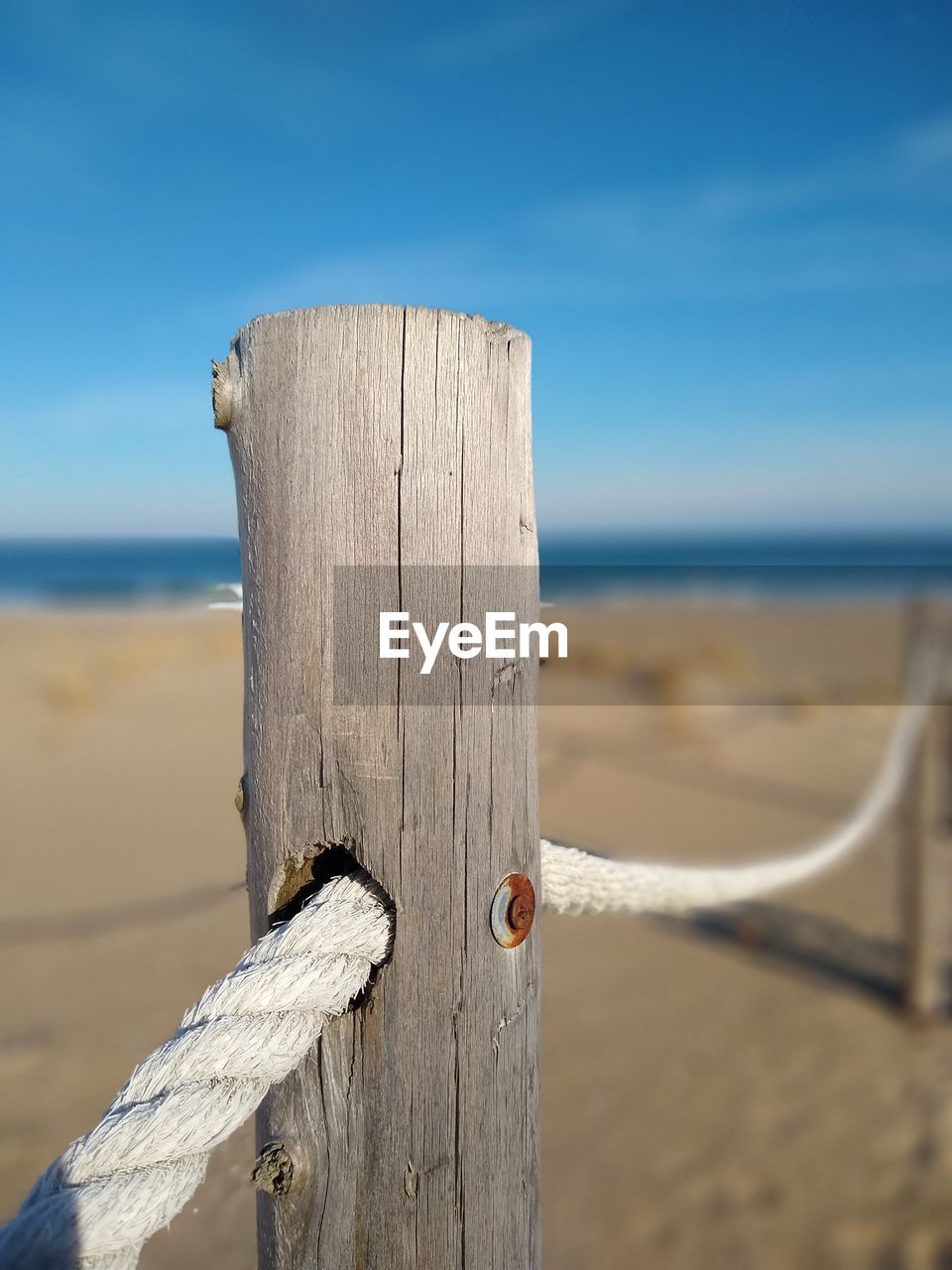 wood, blue, focus on foreground, close-up, no people, wing, day, metal, outdoors, nature