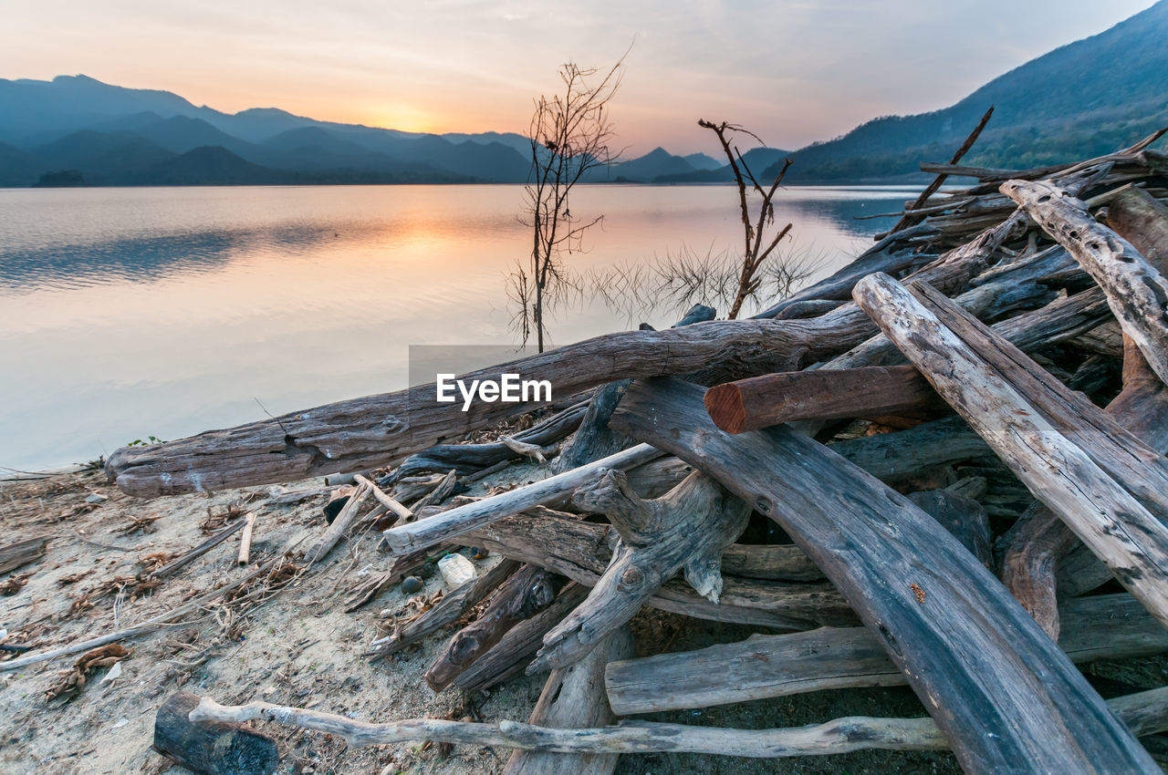 Driftwood on beach against sky during sunset