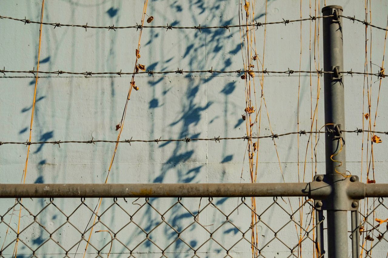 Close-up of railing