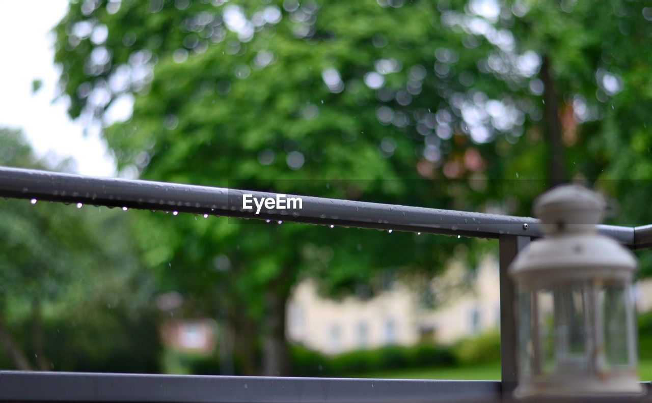 View of wet metal railing by trees