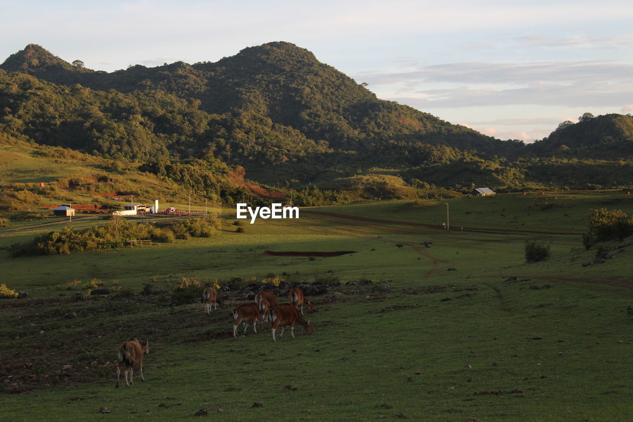 Very good photos, especially when photographing mountain scenery