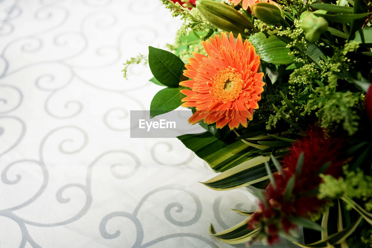 HIGH ANGLE VIEW OF FLOWERING PLANT