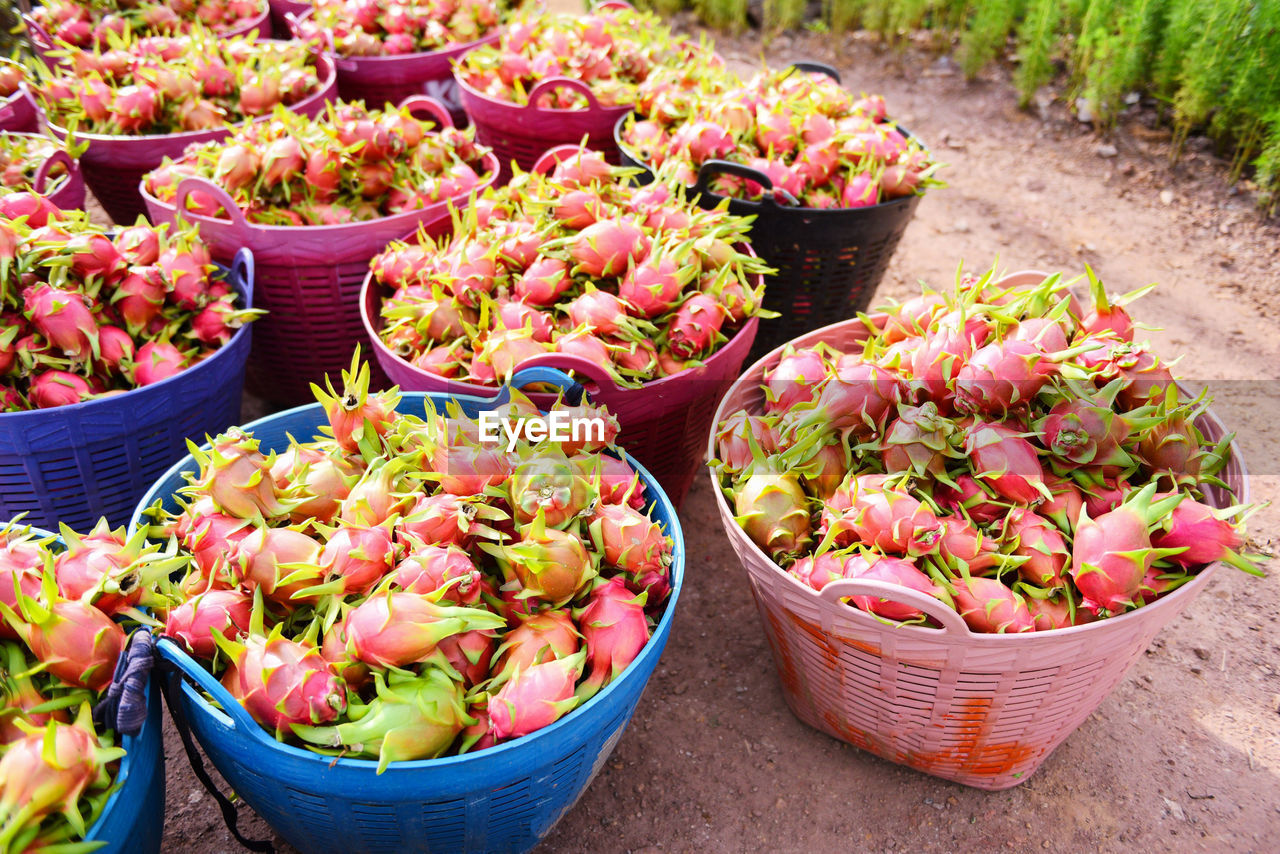 FLOWERS IN BASKET