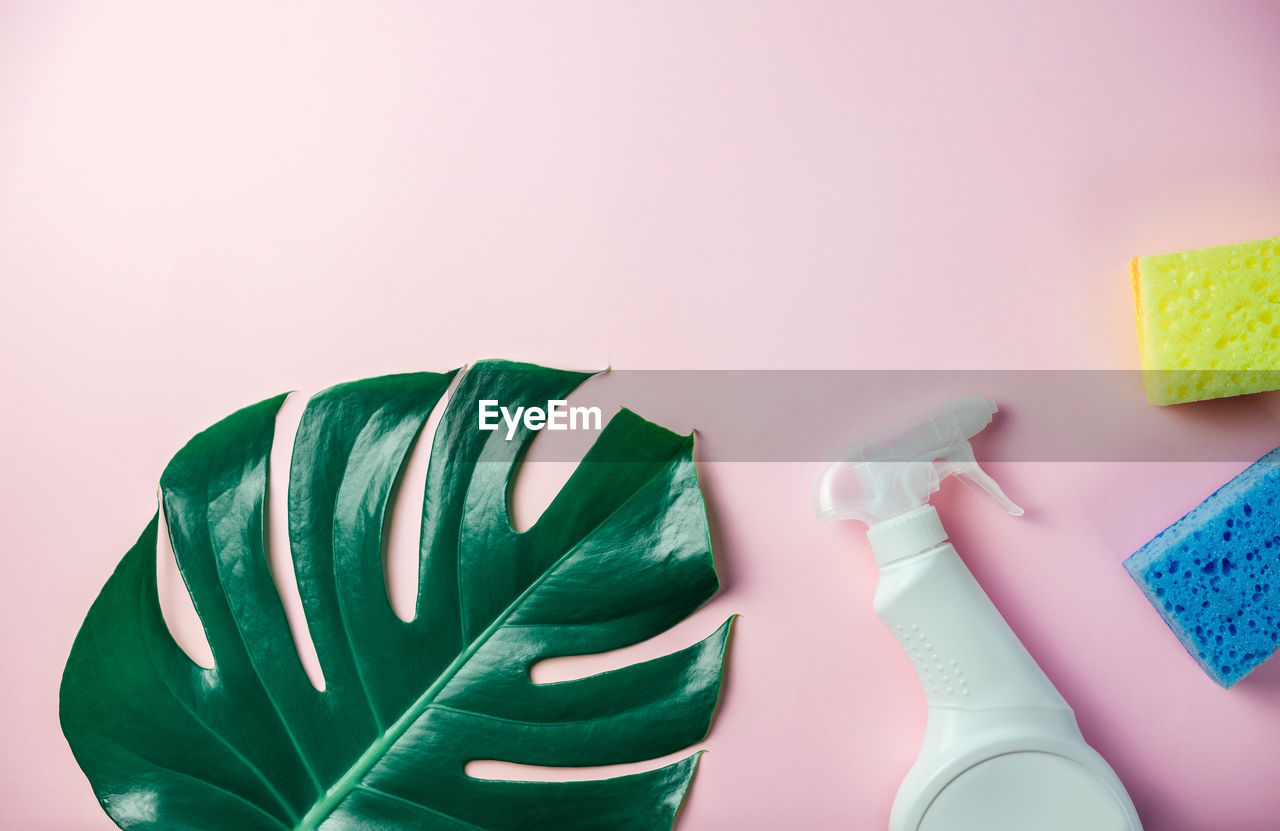 Cleaning sponge and spray on tropical monstera leaf on pink background