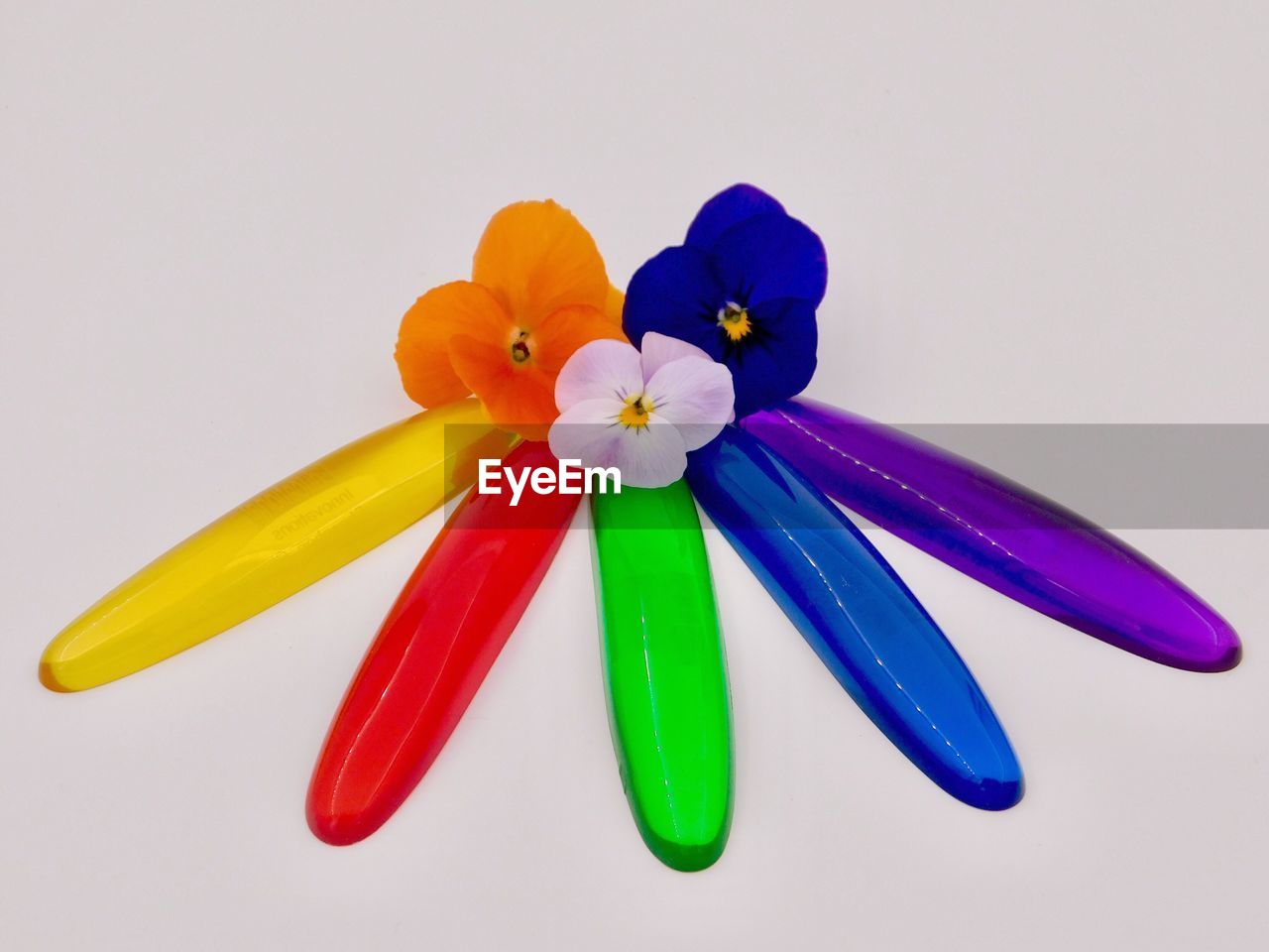 HIGH ANGLE VIEW OF MULTI COLORED FLOWER ON WHITE BACKGROUND