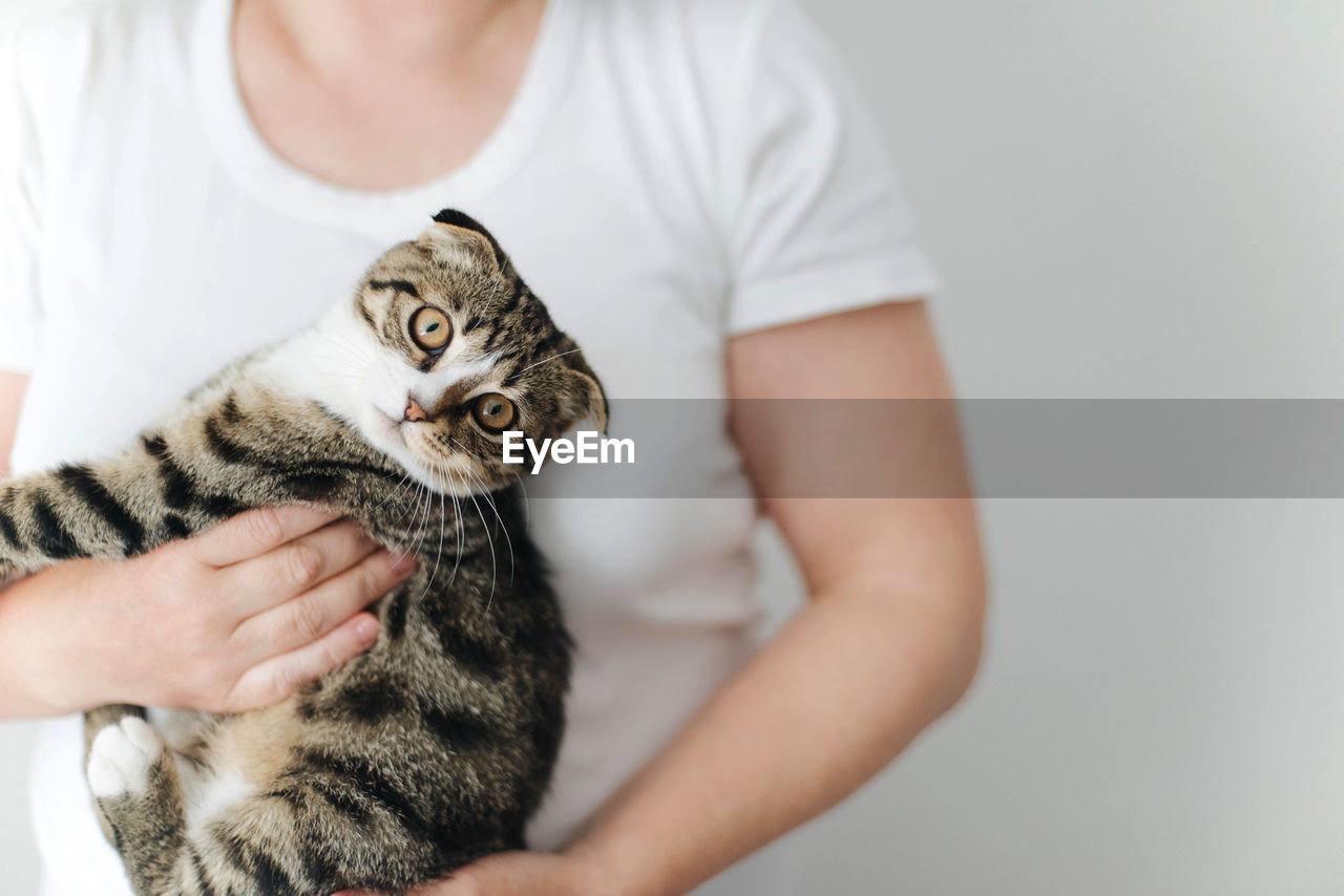 Midsection of person holding cat