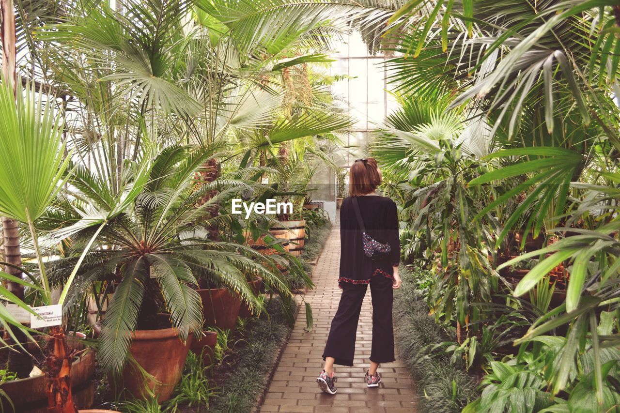 Rear view of woman standing amidst plants in greenhouse