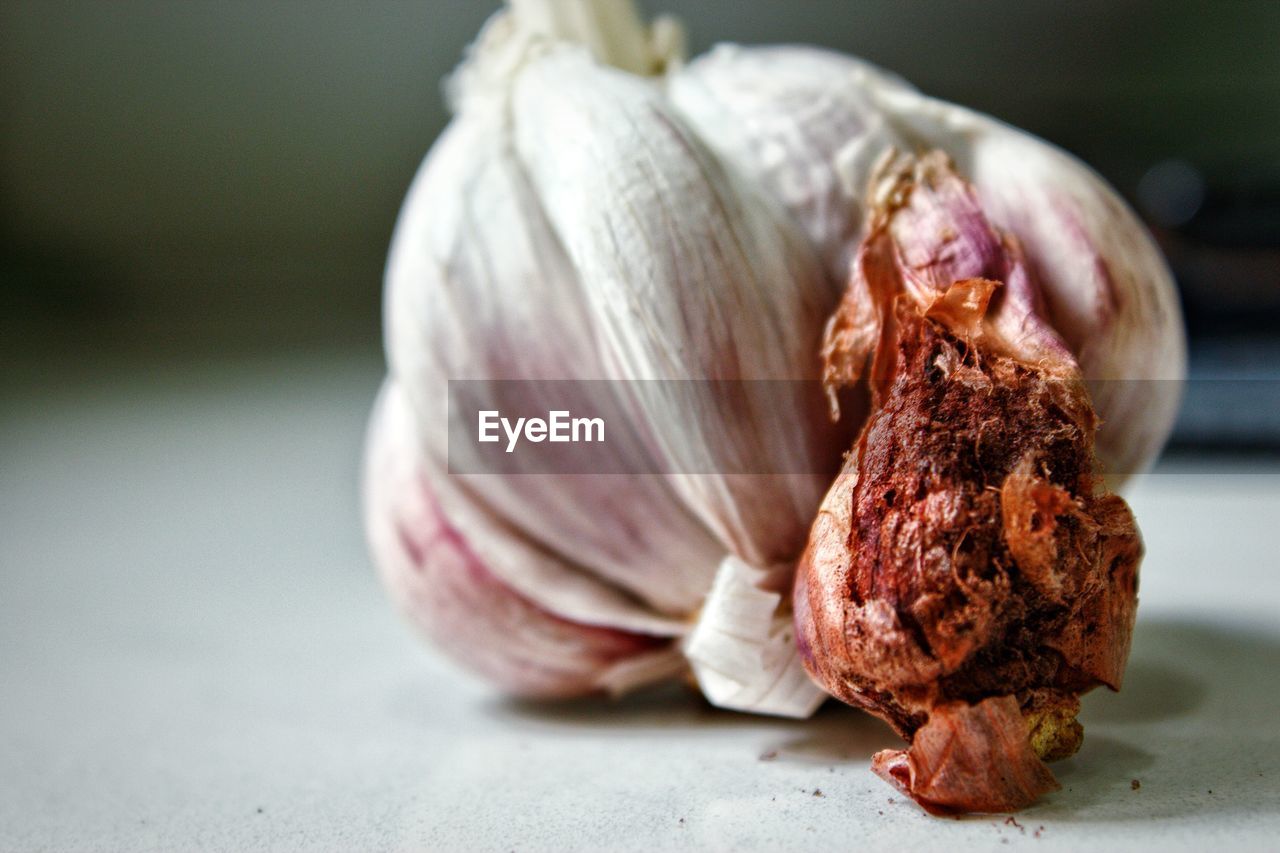 Close-up of rotten onion on table
