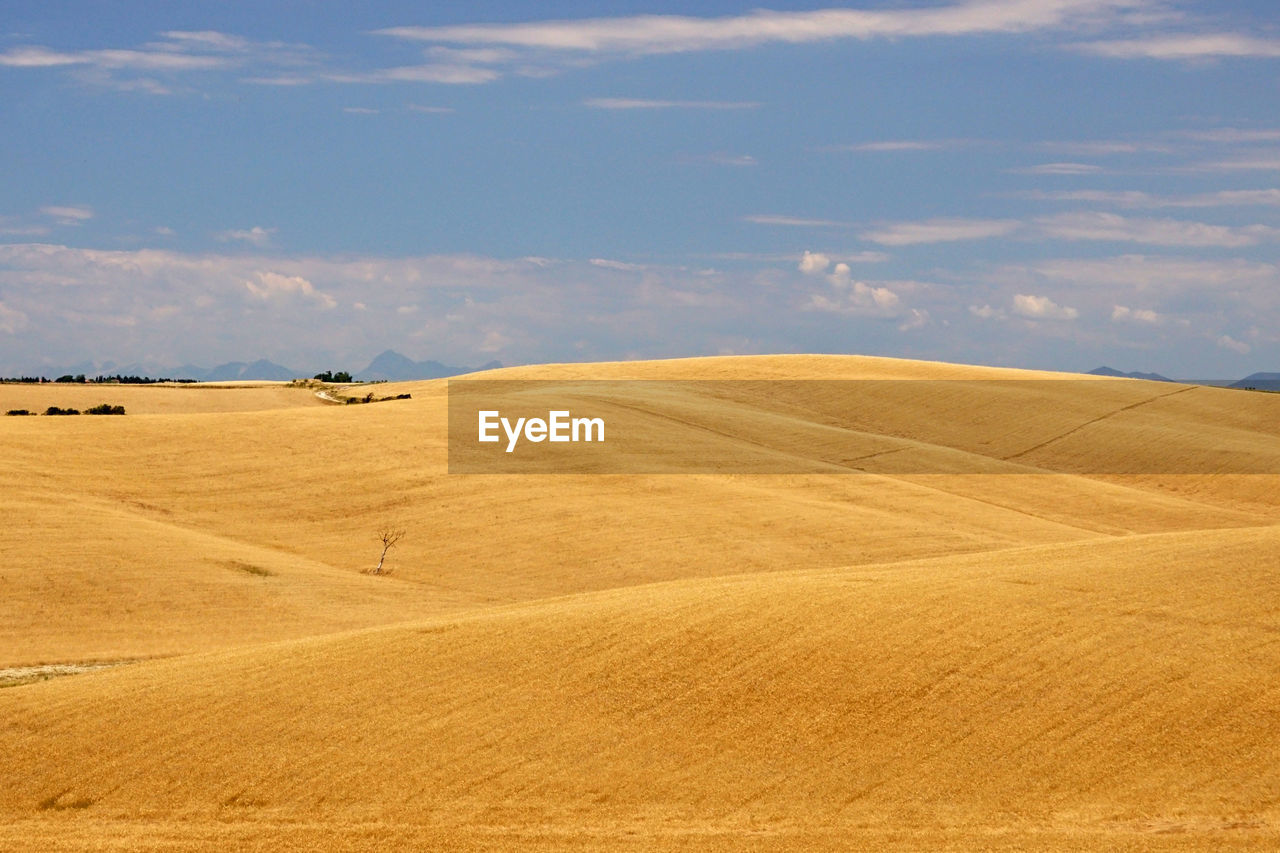 Hills and minimalism in tuscany