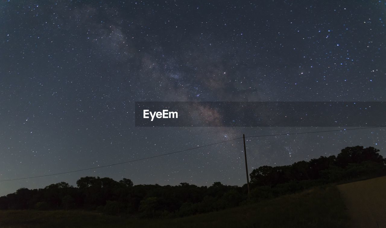 LOW ANGLE VIEW OF TREES AGAINST STAR FIELD