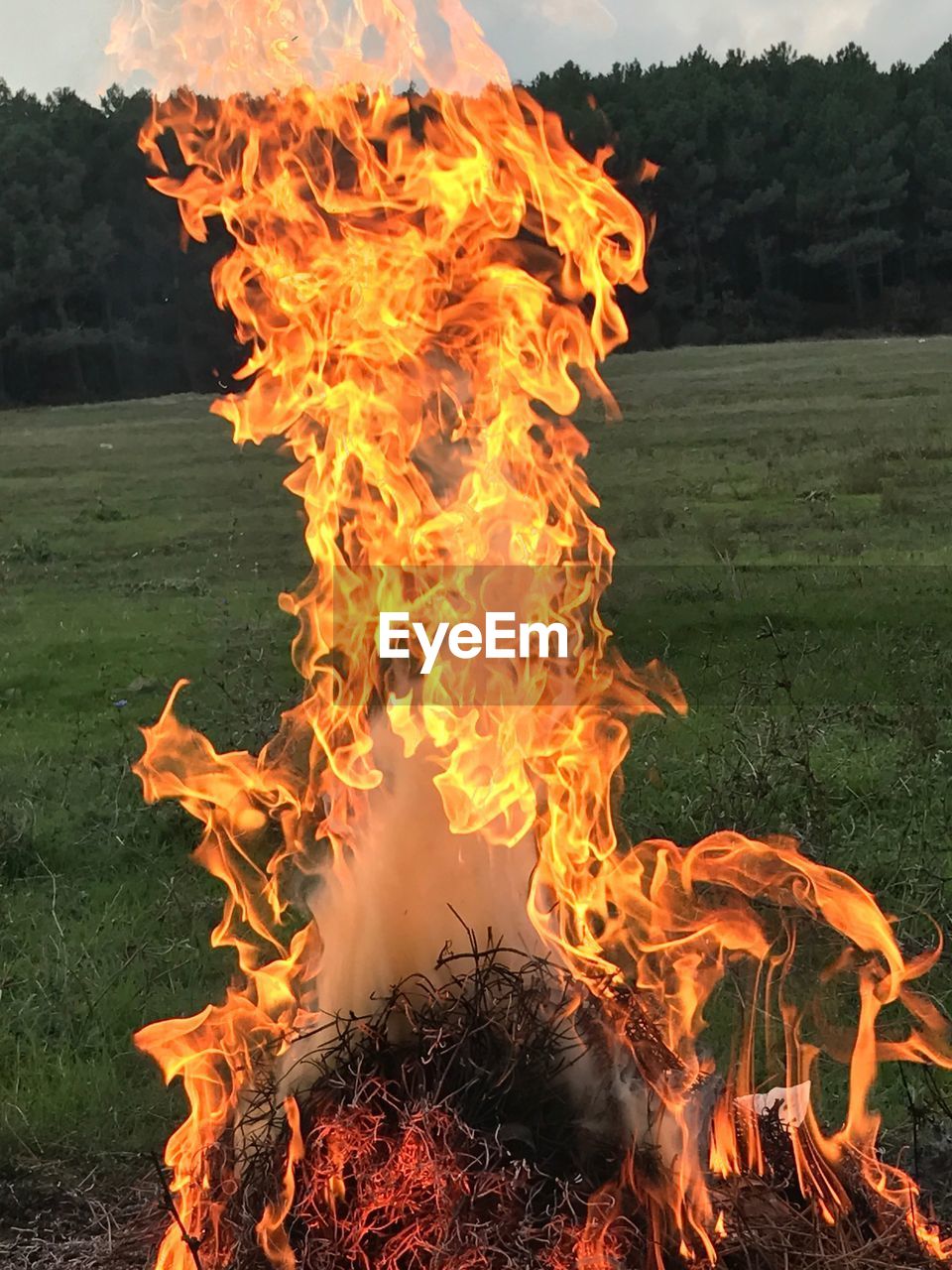 CLOSE-UP OF BONFIRE ON FIELD AGAINST ORANGE SKY