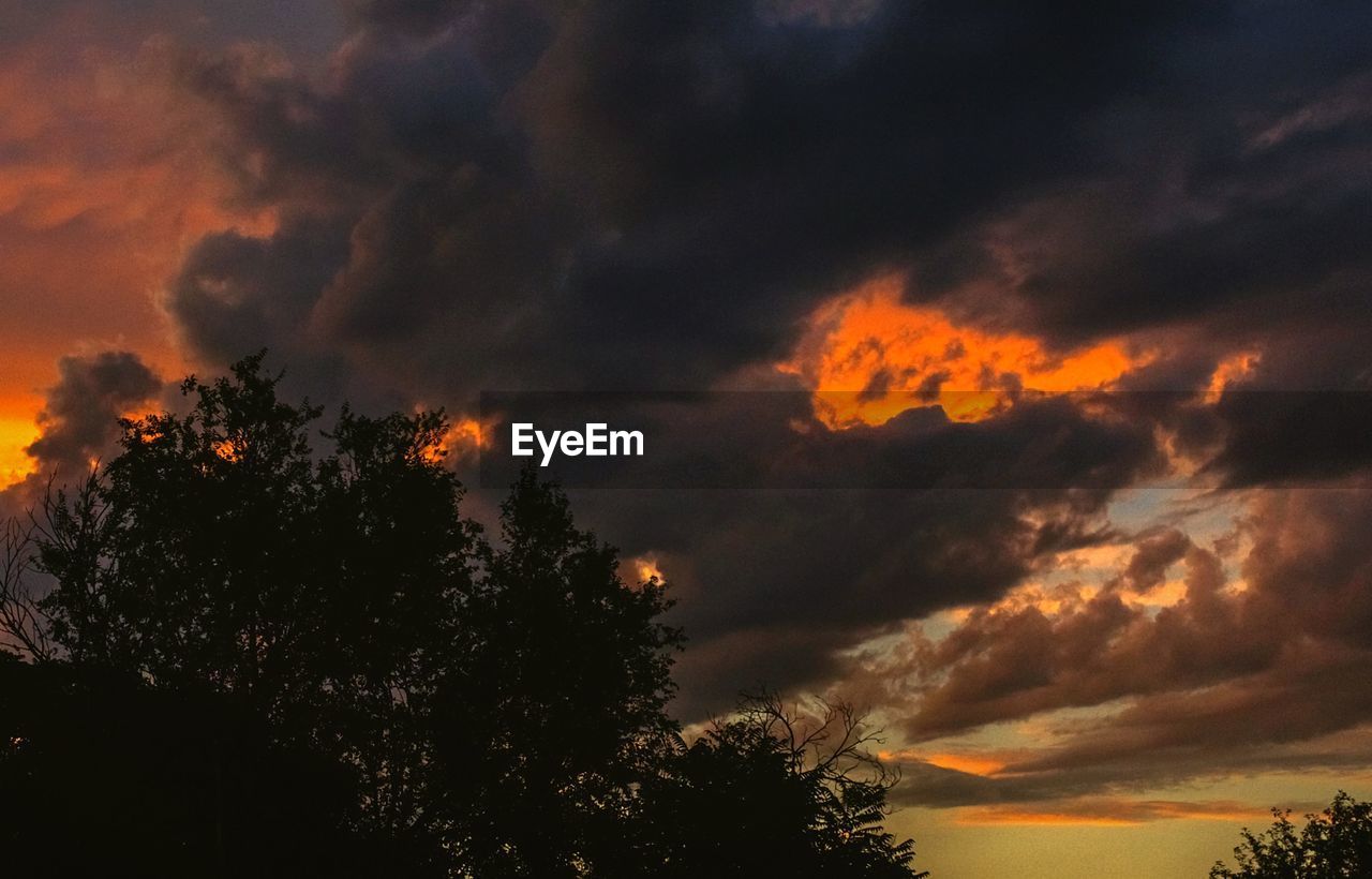 LOW ANGLE VIEW OF SILHOUETTE TREE AGAINST DRAMATIC SKY