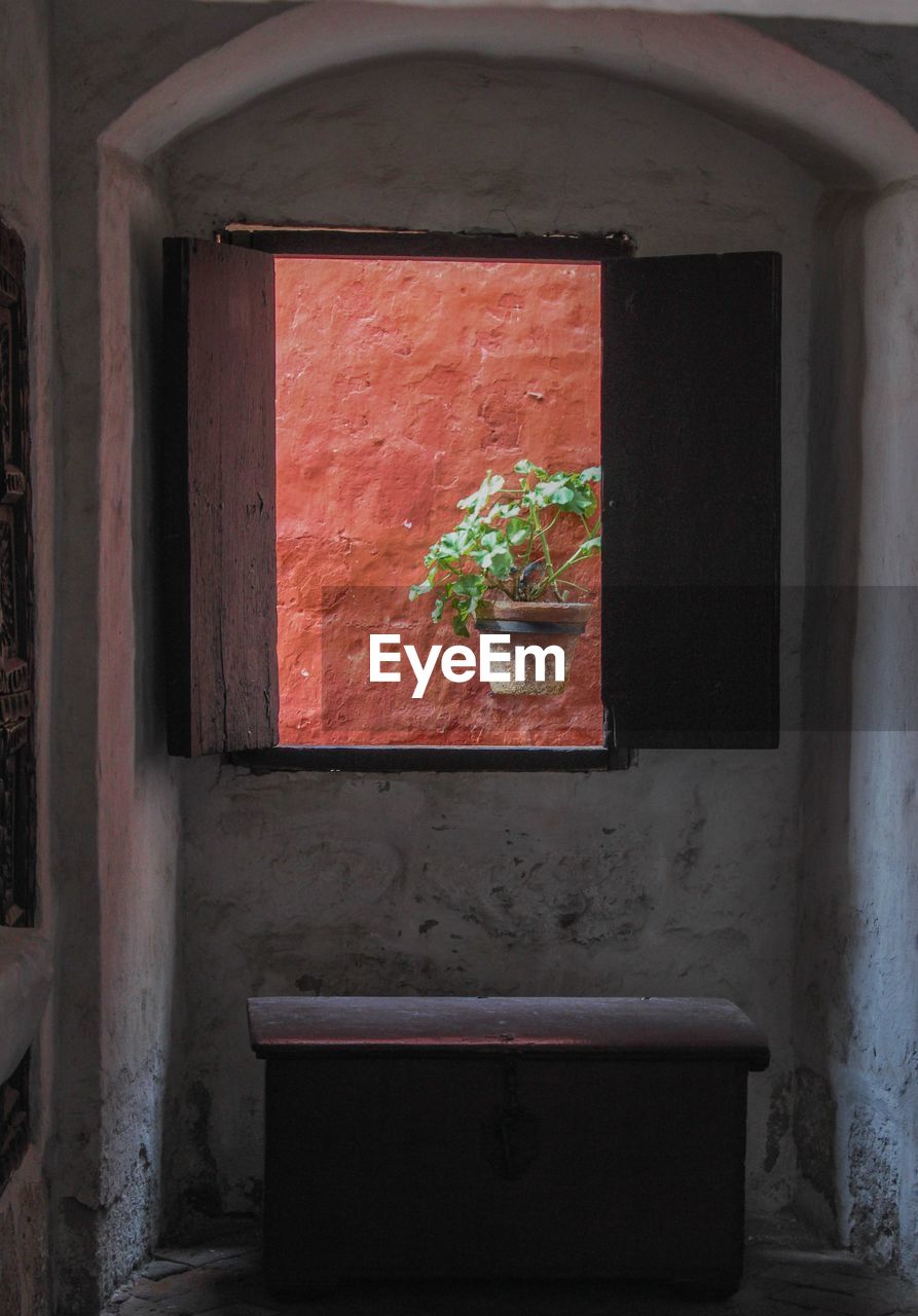 POTTED PLANT ON WINDOW OF BUILDING