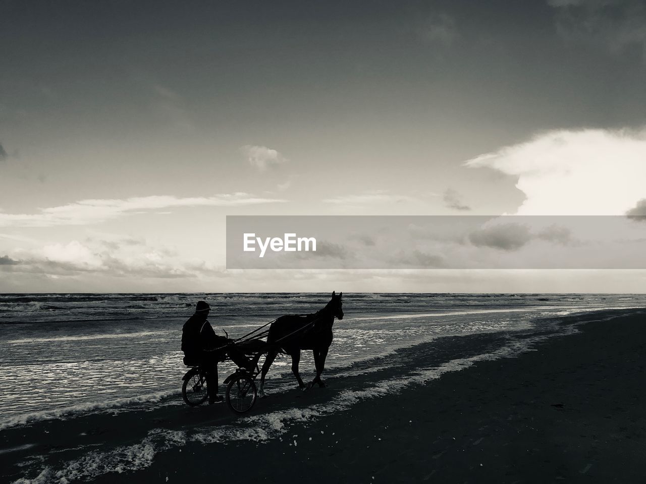 PEOPLE RIDING HORSE ON BEACH