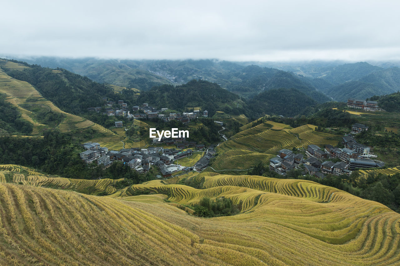 Aerial view of rice fields in longji, china