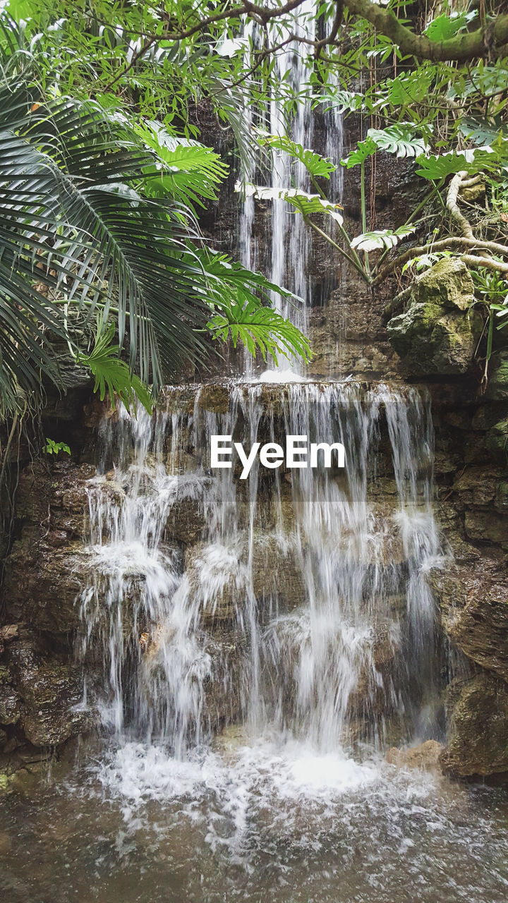 Waterfall in forest