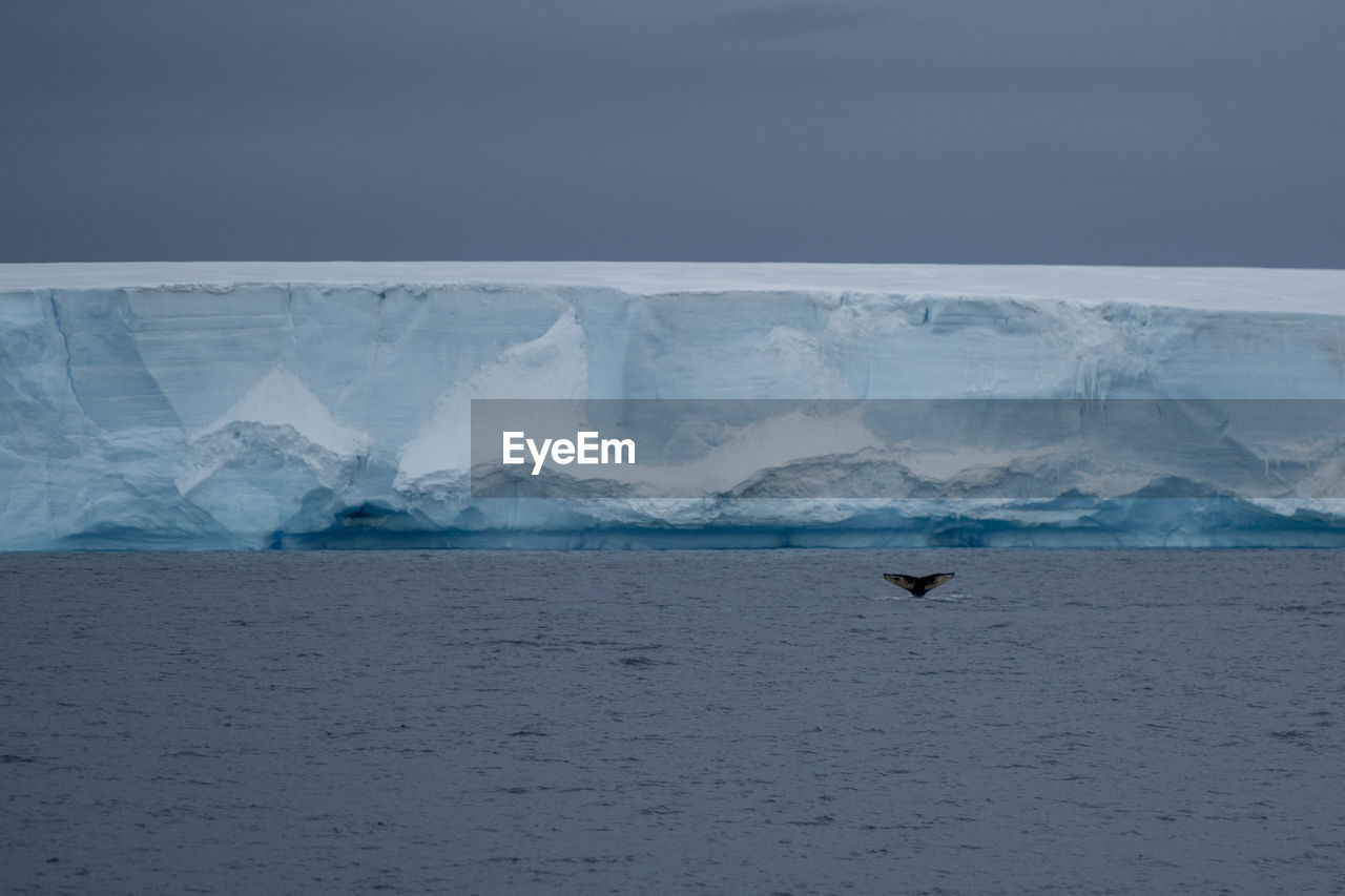 Scenic view of glacier in sea