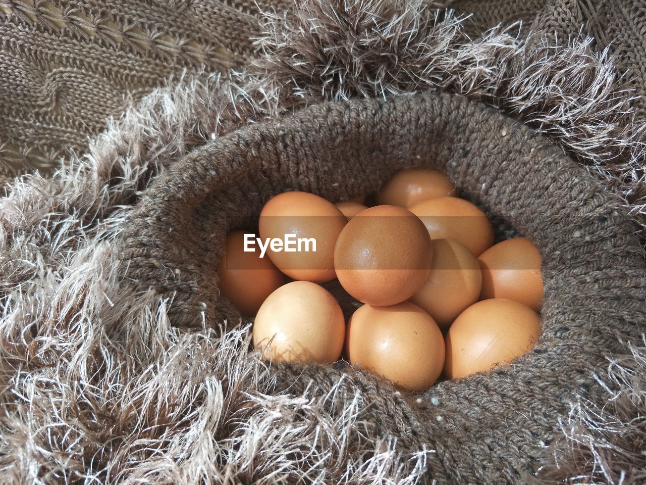 HIGH ANGLE VIEW OF EGGS IN NEST