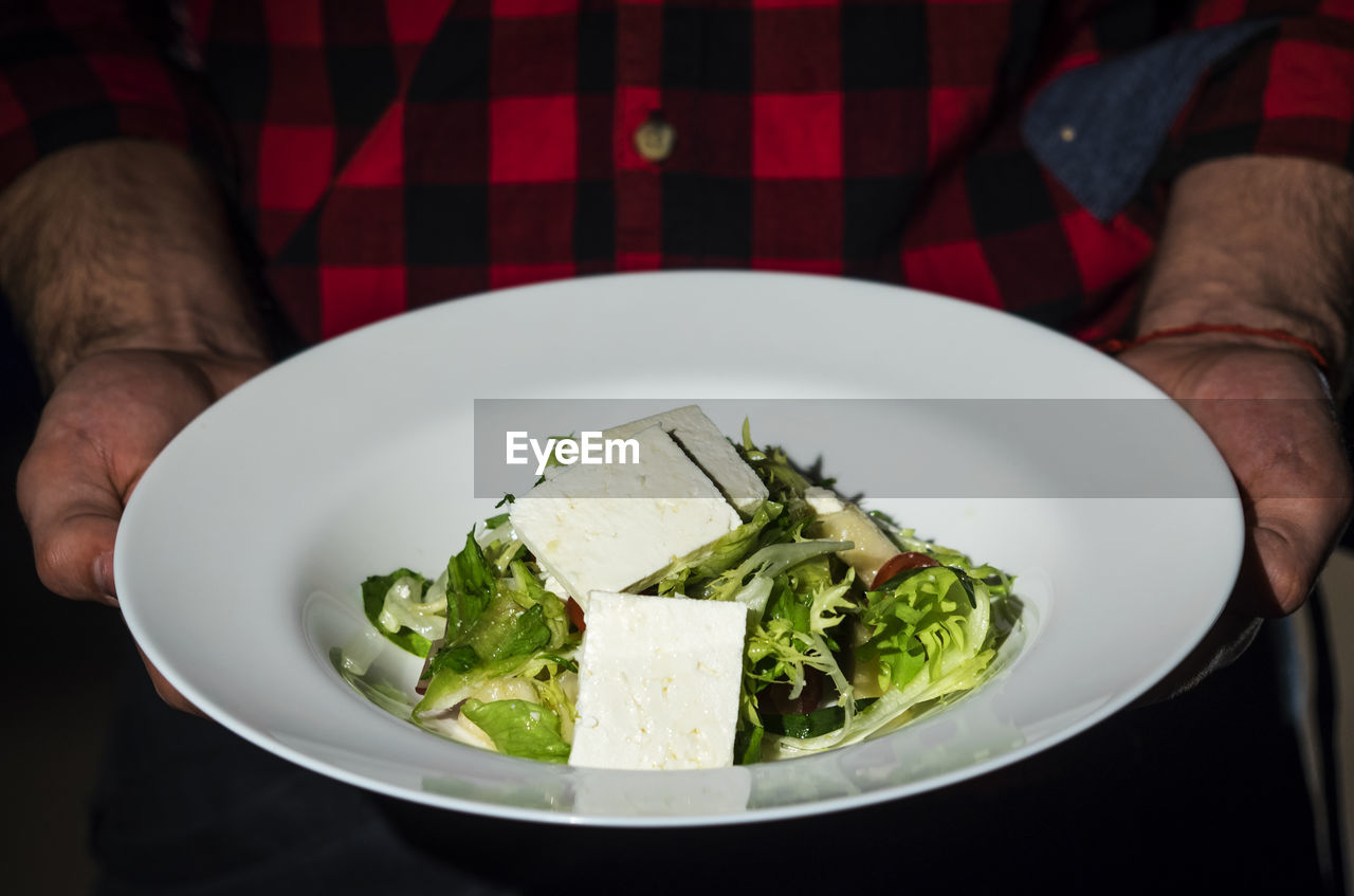 Midsection of man holding tofu salad in plate