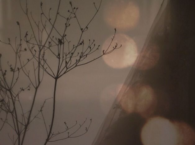 LOW ANGLE VIEW OF BARE TREES AGAINST SKY AT SUNSET