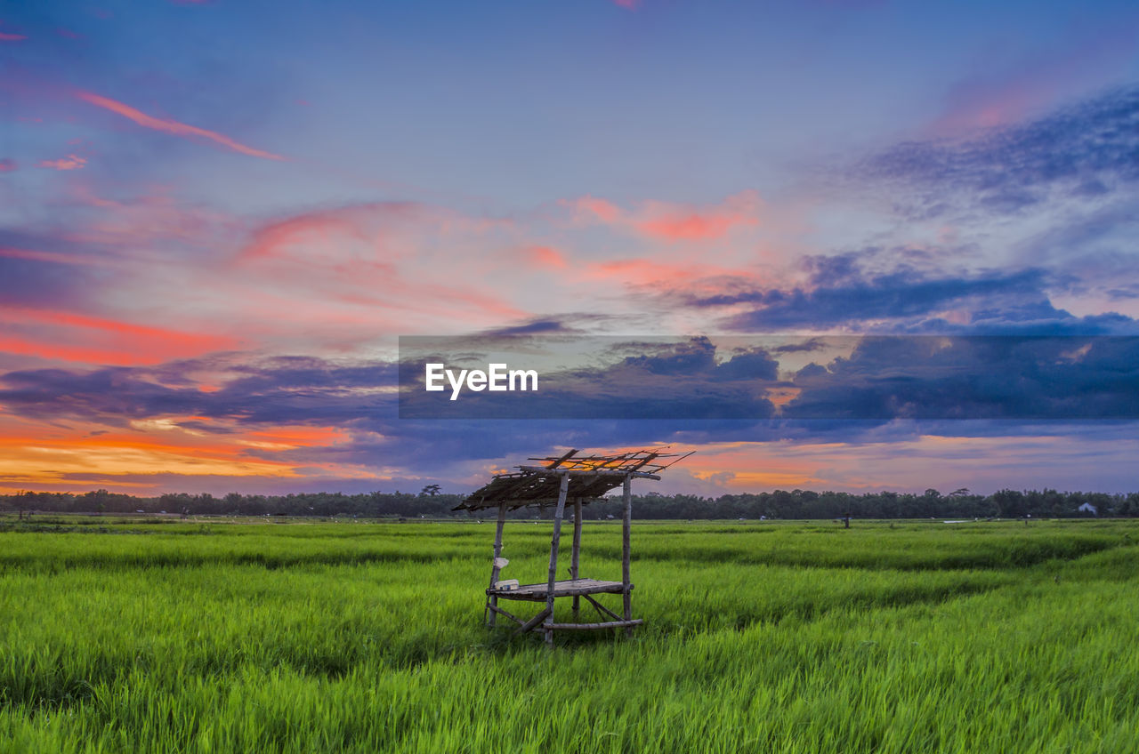 AGRICULTURAL FIELD AGAINST SKY DURING SUNSET