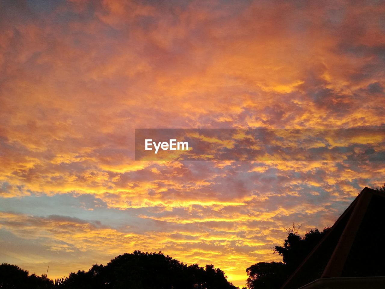 LOW ANGLE VIEW OF SILHOUETTE TREES AGAINST SKY DURING SUNSET