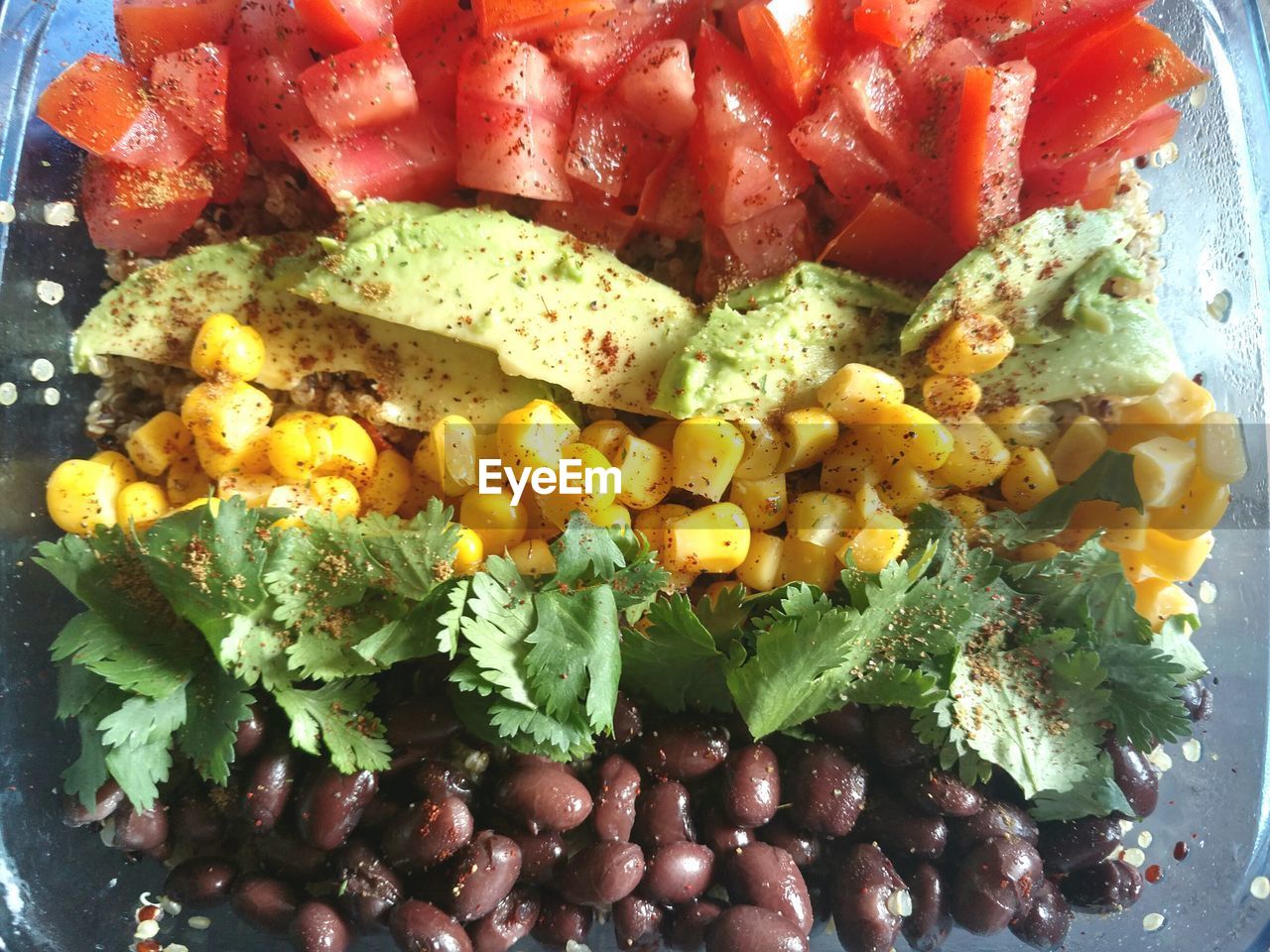 Close-up of mexican salad