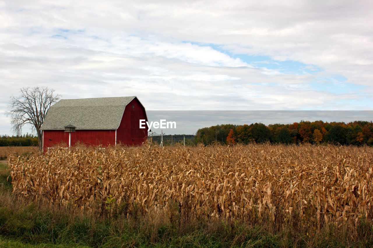 Barn on field against sky