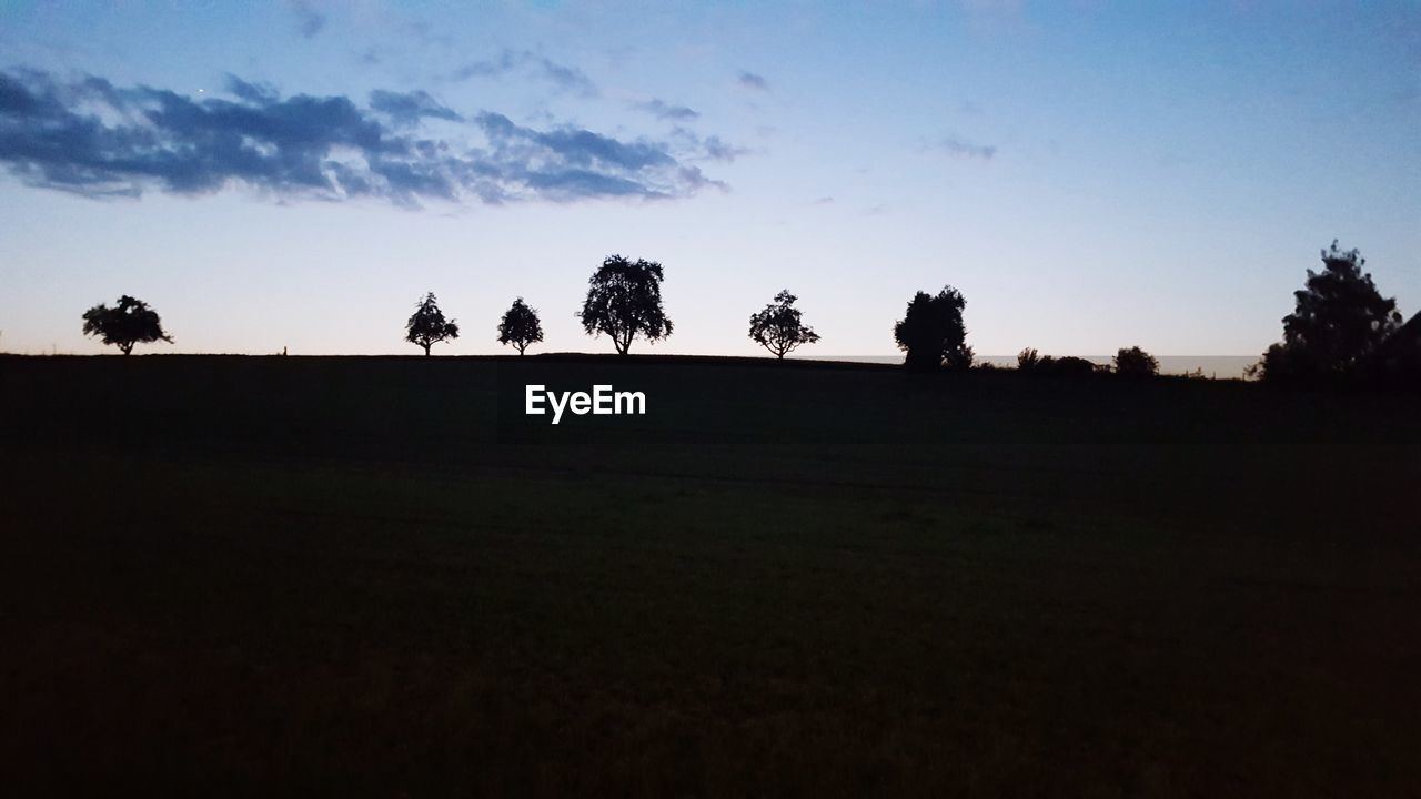 SILHOUETTE OF TREES ON LANDSCAPE AGAINST SKY