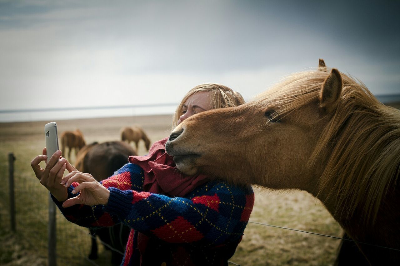 Young woman taking selfie with brown horse in ranch