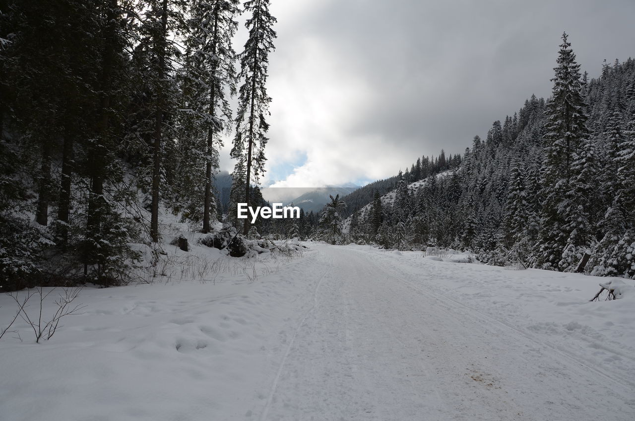 SNOW COVERED LANDSCAPE AGAINST SKY