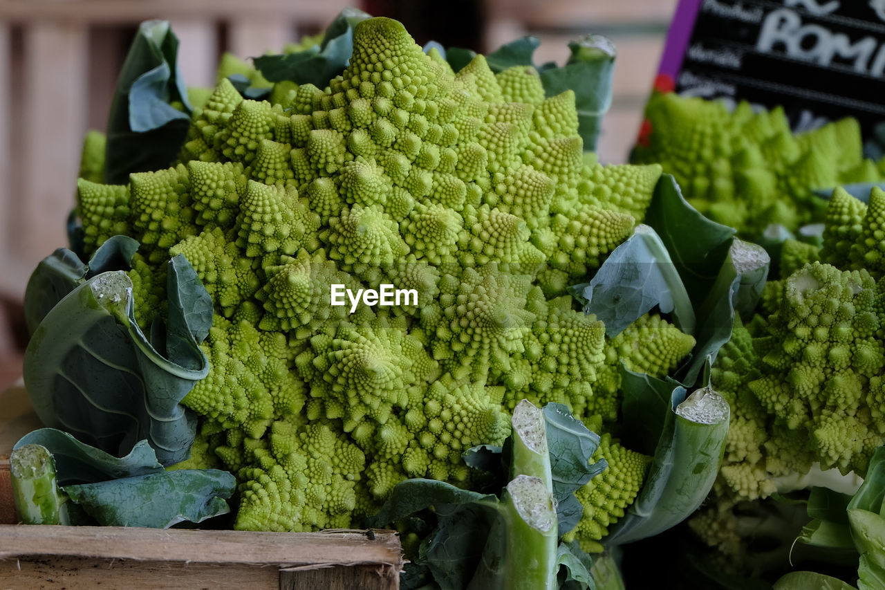 CLOSE-UP OF VEGETABLES IN MARKET