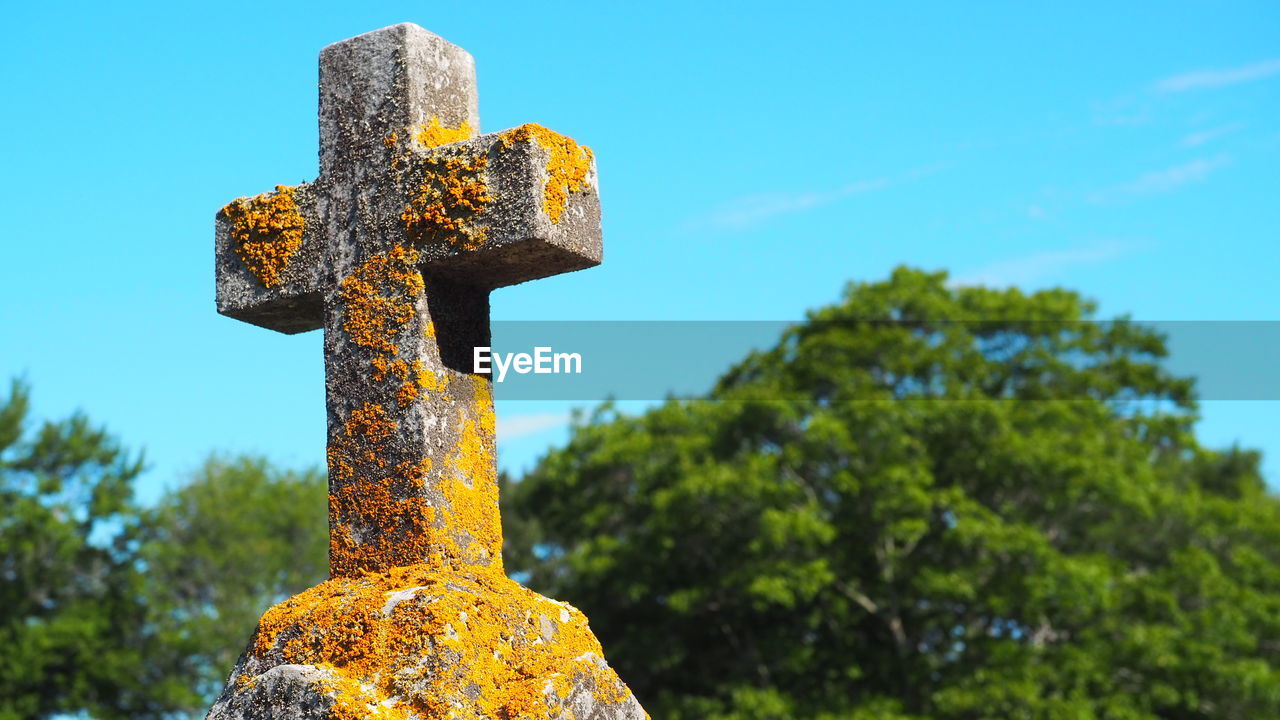 Low angle view of cross on tree against sky