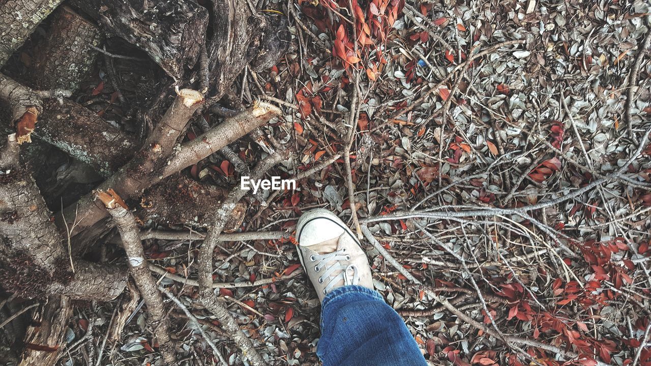 LOW SECTION OF MAN STANDING BY SNOW