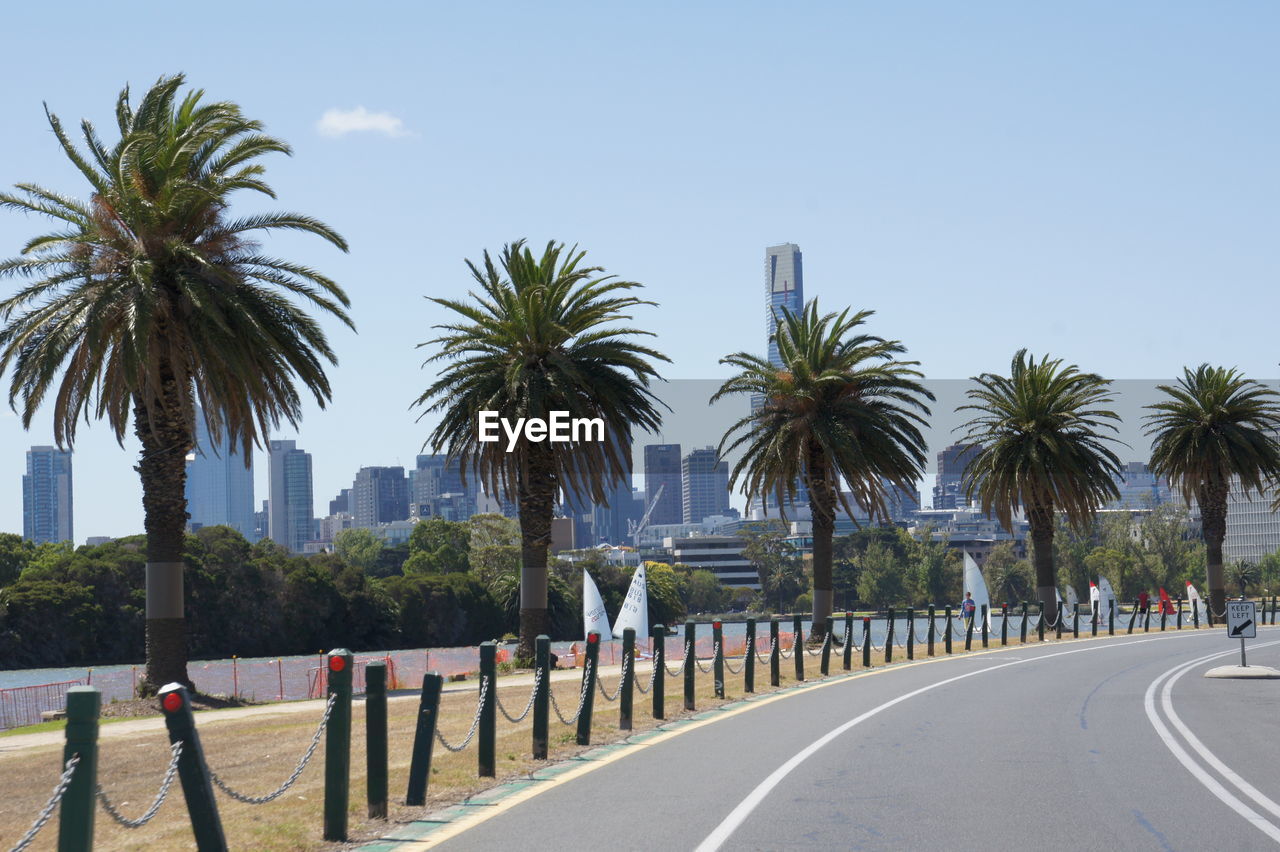 PALM TREES BY ROAD IN CITY AGAINST SKY