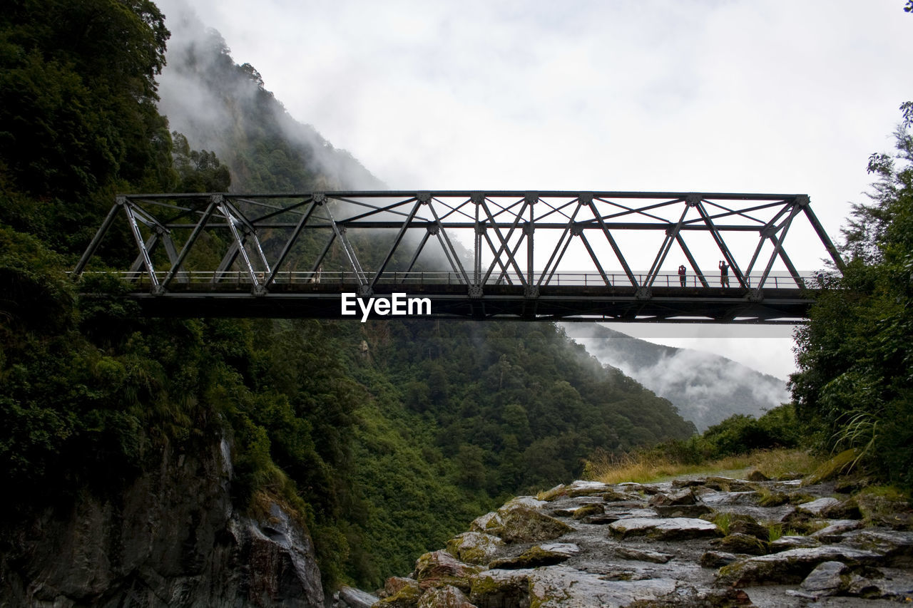 Metallic footbridge in forest during foggy weather