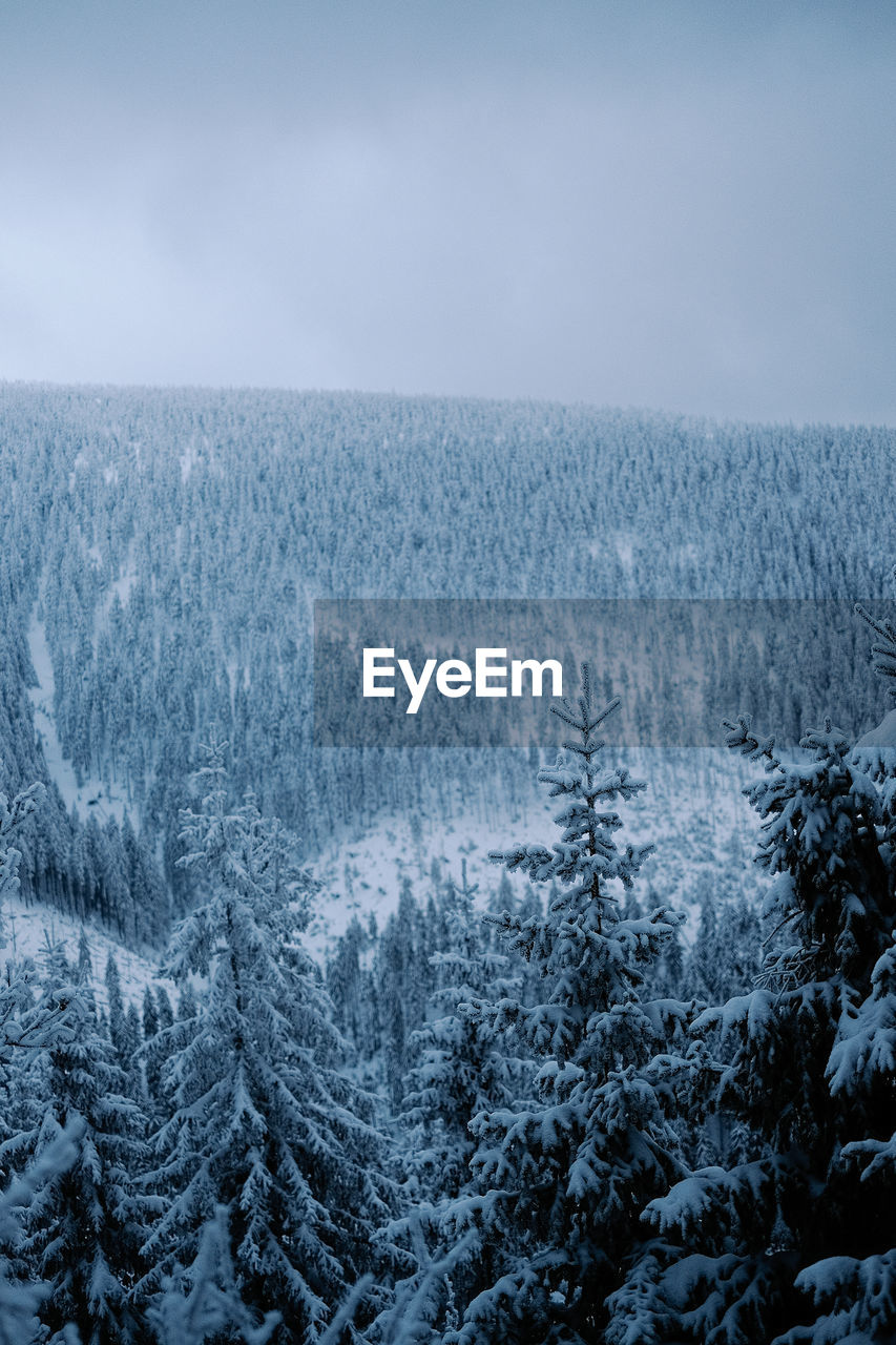 Close-up of snow on landscape