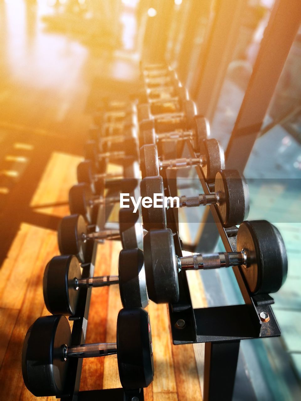 High angle view of dumbbells on rack in gym
