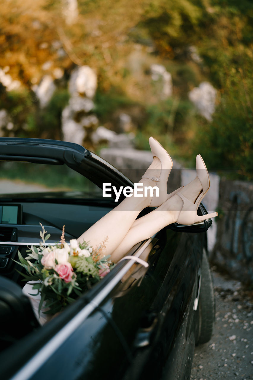 View of white flowering plant in car