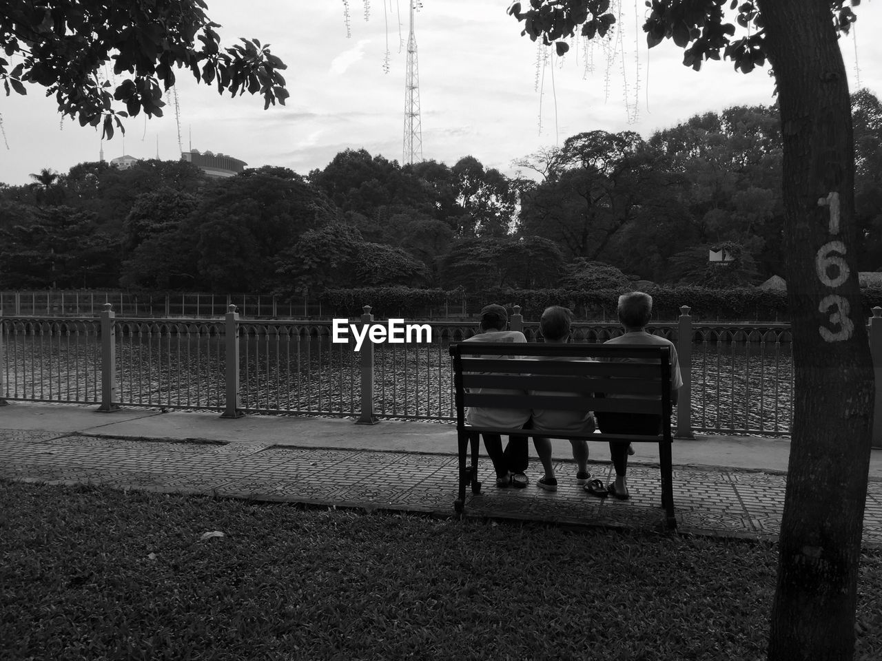Rear view of male friends sitting on bench in park against trees