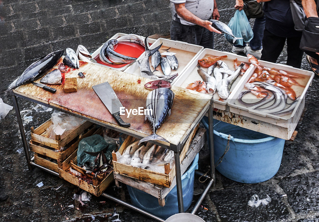 High angle view of people standing by fishes for sale at market stall